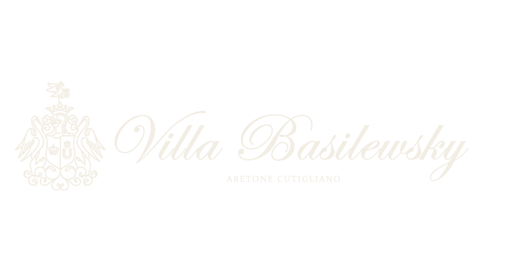logo vb png in linea sfondo trasparente + pittogramma + logotipo + pay off