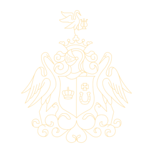 logo vb png sfondo trasparente + pittogramma